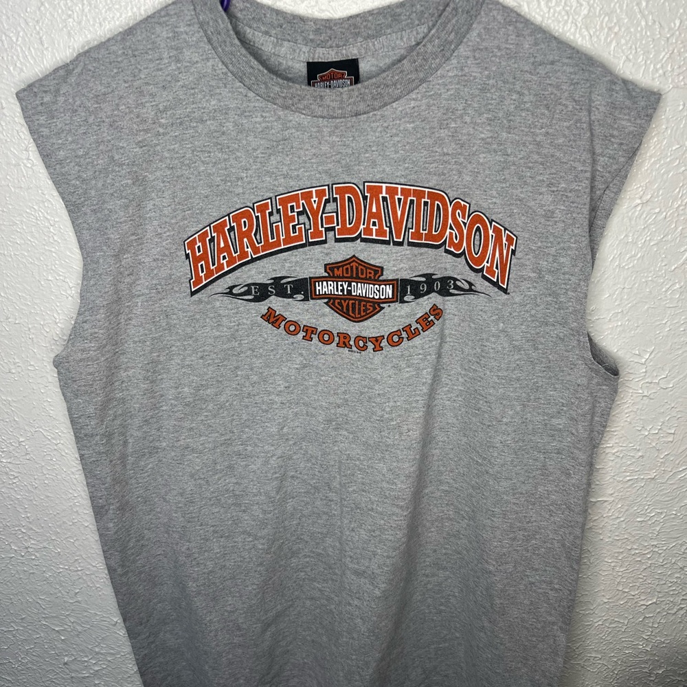 Harley-Davidson Gray and Orange Graphic Shirt Large